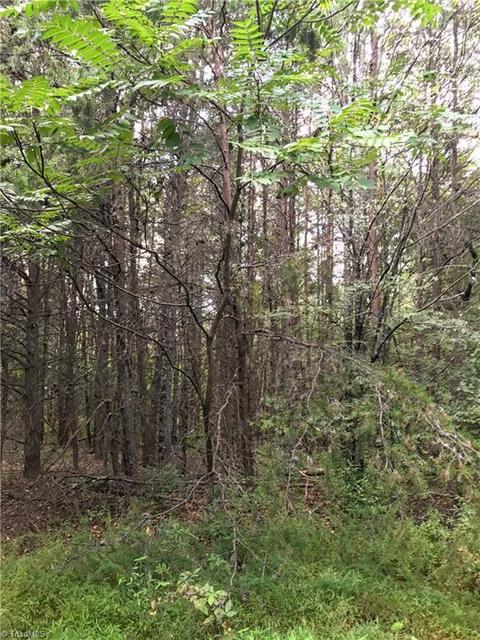 8608 Mcguire Rd, Colfax, NC 27235 photo 7