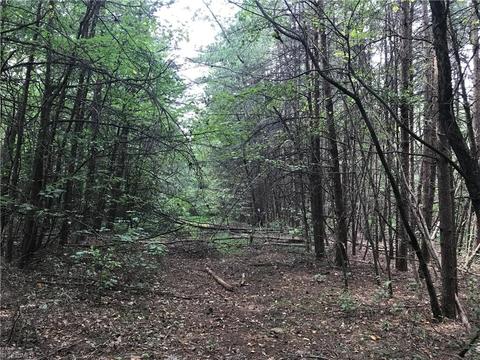 8608 Mcguire Rd, Colfax, NC 27235 photo 1