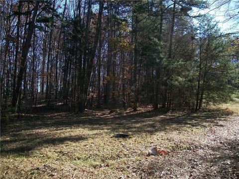 3085 Flat Swamp Rd, Denton, NC 27239 photo 13