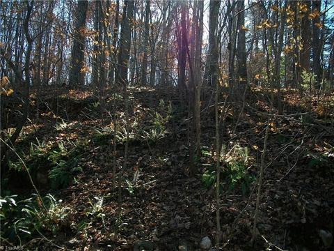3085 Flat Swamp Rd, Denton, NC 27239 photo 15