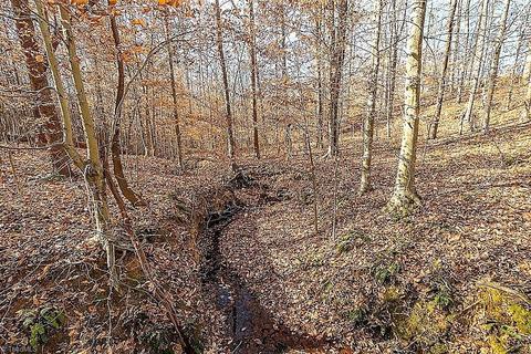 8315 Dennis Rd, Germanton, NC 27019 photo 29