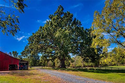 4533 Garner Ln, Denton, NC 27239 photo 10
