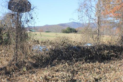 277 Whitehurst Ln, Lowgap, NC 27024 photo 9