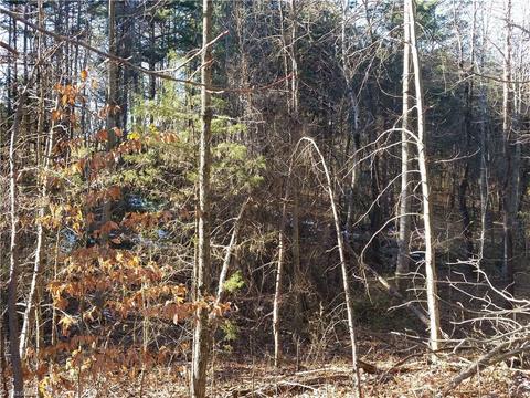 4857 Siloam Rd, Dobson, NC 27017 photo 9
