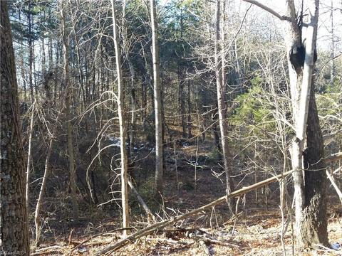 4857 Siloam Rd, Dobson, NC 27017 photo 8