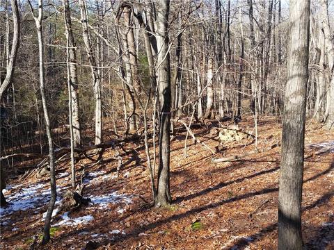 4857 Siloam Rd, Dobson, NC 27017 photo 7