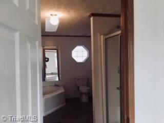 183 Green Walnut St, Traphill, NC 28685 photo 23