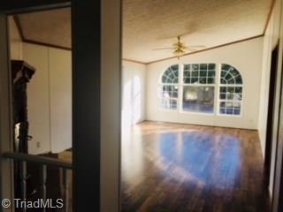 183 Green Walnut St, Traphill, NC 28685 photo 13