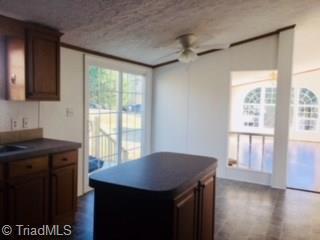 183 Green Walnut St, Traphill, NC 28685 photo 11