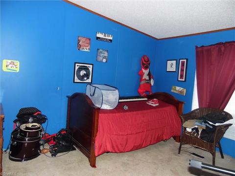 3906 Slade Rd, Blanch, NC 27212 photo 6