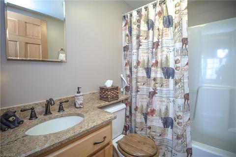 919 Cascade Trl, Fancy Gap, VA 24328 photo 10