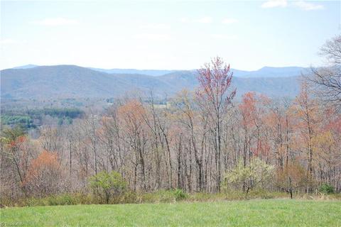 2883 N Lomax Rd, Traphill, NC 28685 photo 5