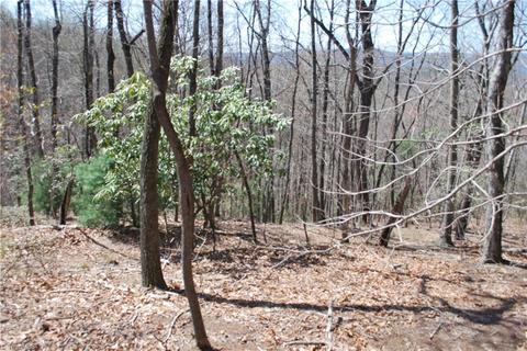 2883 N Lomax Rd, Traphill, NC 28685 photo 7