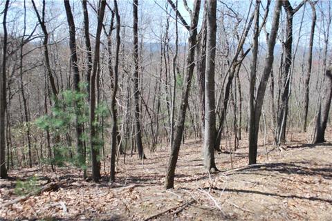 2883 N Lomax Rd, Traphill, NC 28685 photo 8