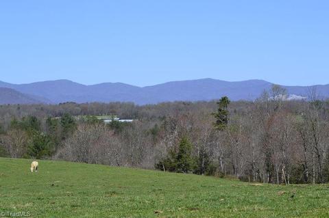 2883 N Lomax Rd, Traphill, NC 28685 photo 4