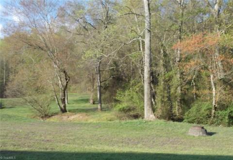 201 Saddle Brook Dr, Dobson, NC 27017 photo 23
