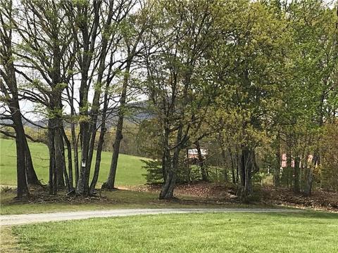 1015 Bryan Rd, Danbury, NC 27016 photo 2