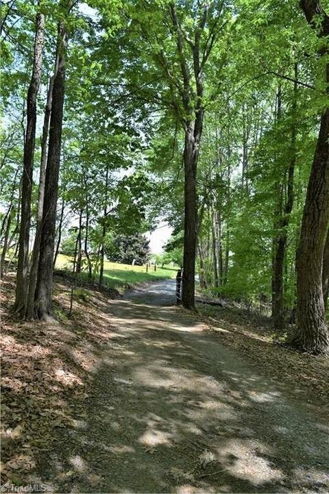 2180 Dillard Rd, Madison, NC 27025 photo 8