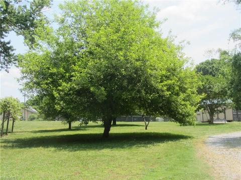 137 Poole Rd, Mayodan, NC 27027 photo 3
