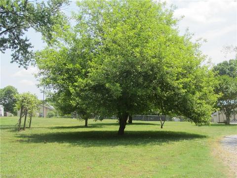 137 Poole Rd, Mayodan, NC 27027 photo 4