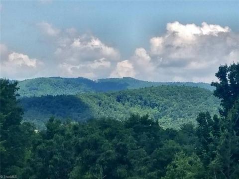 292 Doe Run, Purlear, NC 28665 photo 5