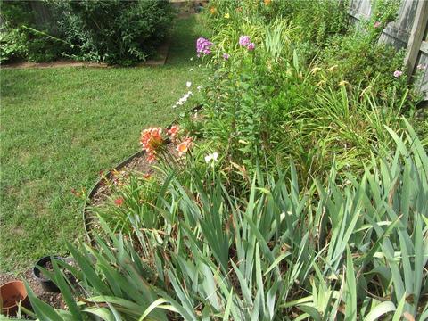 404 N 10th Ave, Mayodan, NC 27027 photo 7