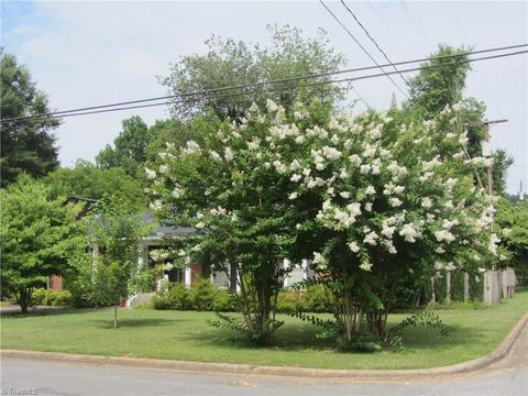404 N 10th Ave, Mayodan, NC 27027 photo 5