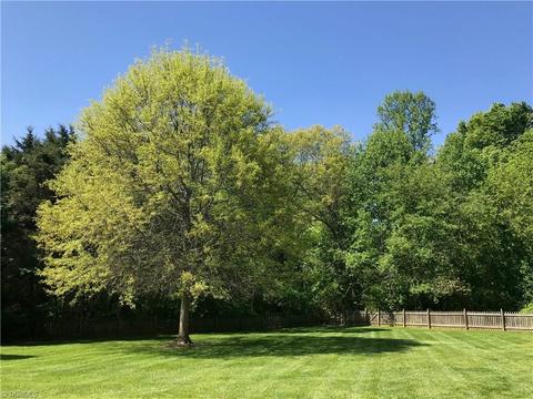 5232 Bridge Pointe Dr, Clemmons, NC 27012 photo 15