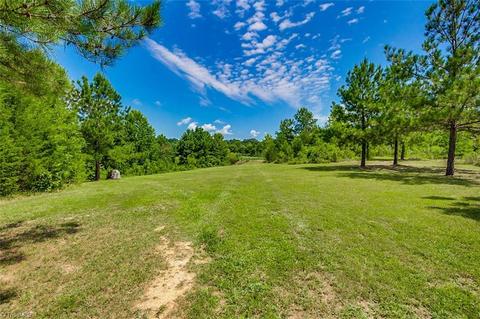 6633 Carl Cox Rd, Bennett, NC 27208 photo 20