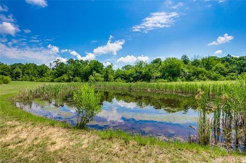 6633 Carl Cox Rd, Bennett, NC 27208 photo 21