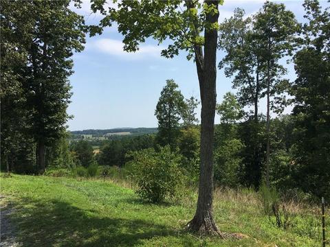 7689 Checkmark Rd, Denton, NC 27239 photo 6