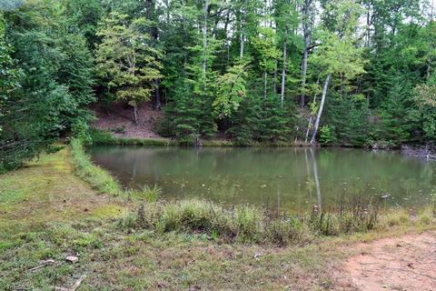 320 Nettle Knob Trl, Lowgap, NC 27024 photo 26