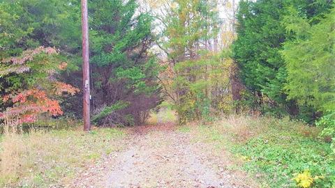 159 Jesse King Rd, Advance, NC 27006 photo 4