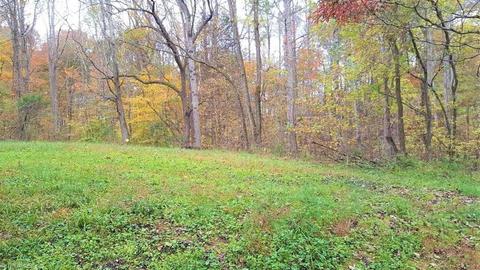159 Jesse King Rd, Advance, NC 27006 photo 2
