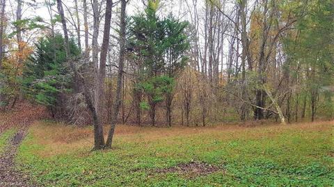 159 Jesse King Rd, Advance, NC 27006 photo 8
