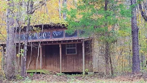 159 Jesse King Rd, Advance, NC 27006 photo 5