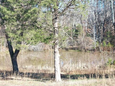 169 Chilton Rd, Ruffin, NC 27326 photo 8