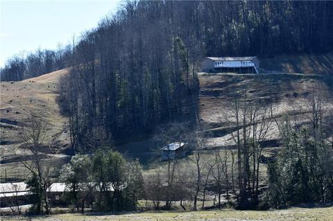 318 Lewis Fork Baptist Church Rd, Purlear, NC 28665 photo 29
