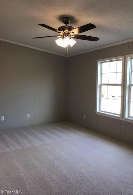 172 Butner Rd, Pinnacle, NC 27043 photo 9