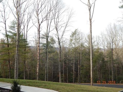 364 Burberry Dr, Purlear, NC 28665 photo 15