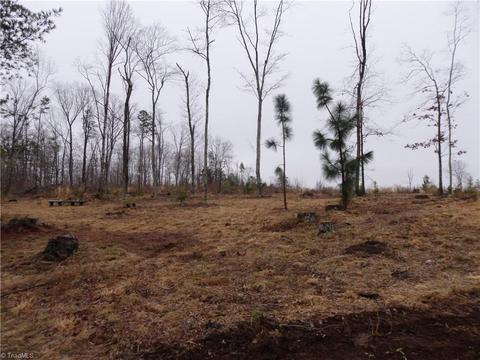 1101 Denton Rd, Denton, NC 27239 photo 30