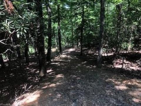 141 View Point Dr, Traphill, NC 28685 photo 1