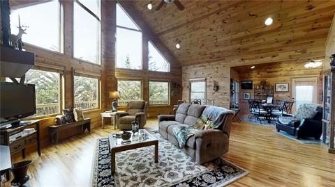 1705 Buck Mountain Rd, Purlear, NC 28665 photo 3
