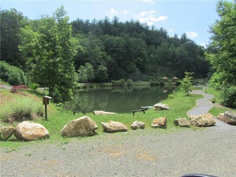 685 Staghorn Rd, Purlear, NC 28665 photo 12
