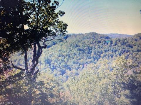 685 Staghorn Rd, Purlear, NC 28665 photo 10