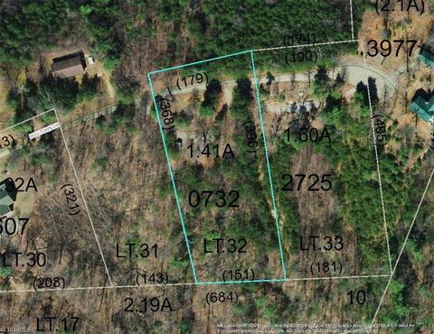 178 Bulltown Dr, Purlear, NC 28665 photo 1