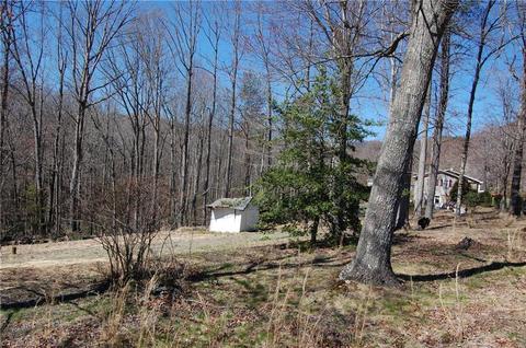 181 Martha Lowe Rd, Lowgap, NC 27024 photo 2