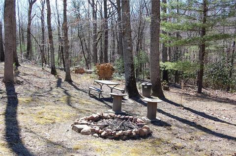 181 Martha Lowe Rd, Lowgap, NC 27024 photo 1