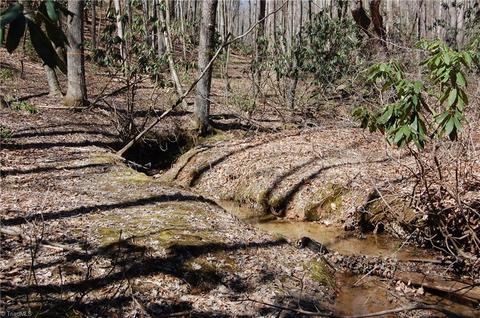 181 Martha Lowe Rd, Lowgap, NC 27024 photo 8
