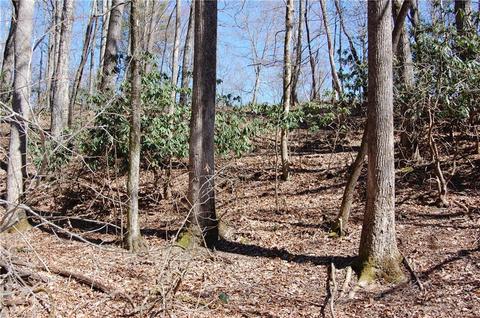 181 Martha Lowe Rd, Lowgap, NC 27024 photo 6